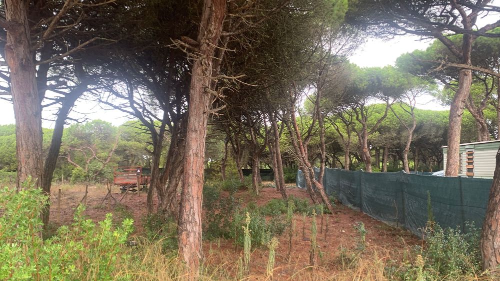 Terreno à Venda na Aldeia do Meco, Sesimbra