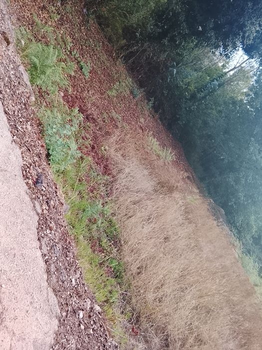 Vendo terreno em Gondomar
