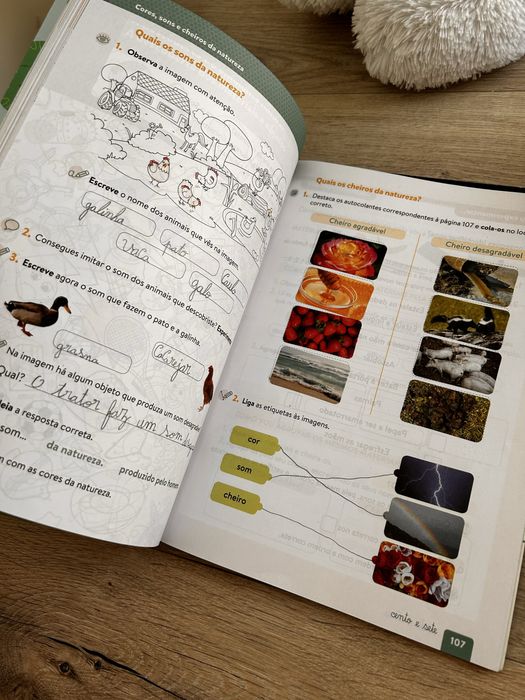 Manual e livros de fichas Estudo do meio 1 ano PLIM