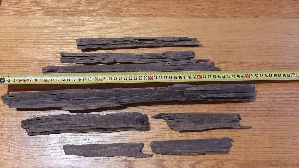 Корень мангрового дерева .