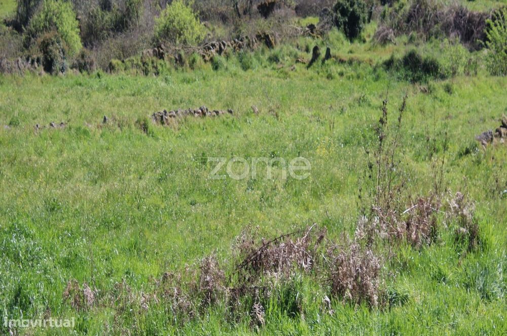 Terreno Único à Venda no Coração do Vale do Demo – Moimenta da Bei...