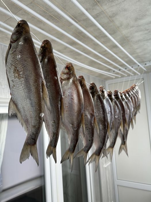 Синець Вʼялена риба Таранка