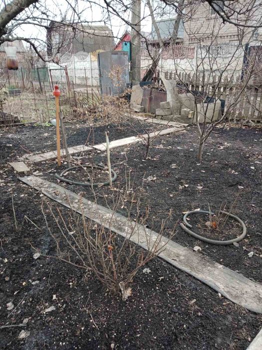 Продаю садовотческое общество Західне