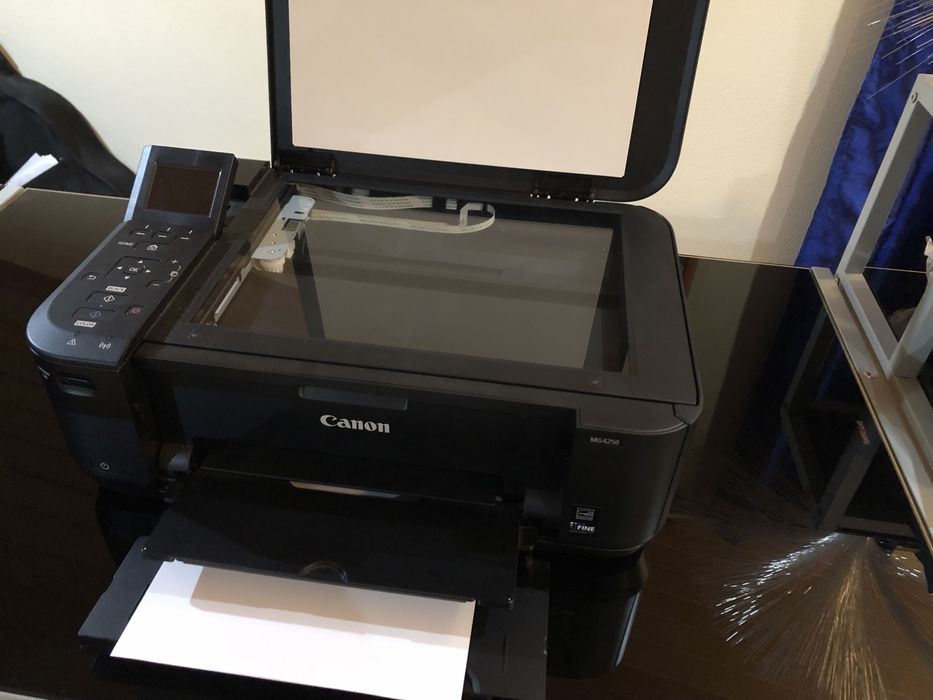 Impressora Canon Pixma MG4250