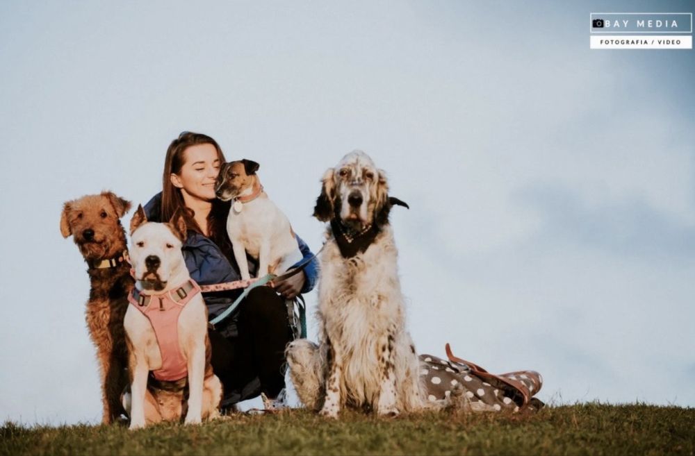 Niania opiekunka z sercem / petsitter dla zwierząt Poznań