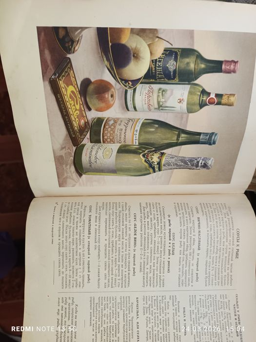 Книга 1954 року.