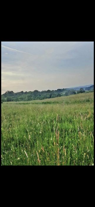 Działka Bieszczady Lesko 29 ar!!! - Widok 2