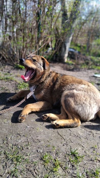Молодий хлопчик в добрі руки