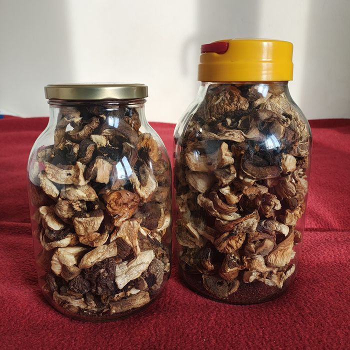 Suszone borowiki,prawdziwki i koźlarze  20 złotych/100 gram