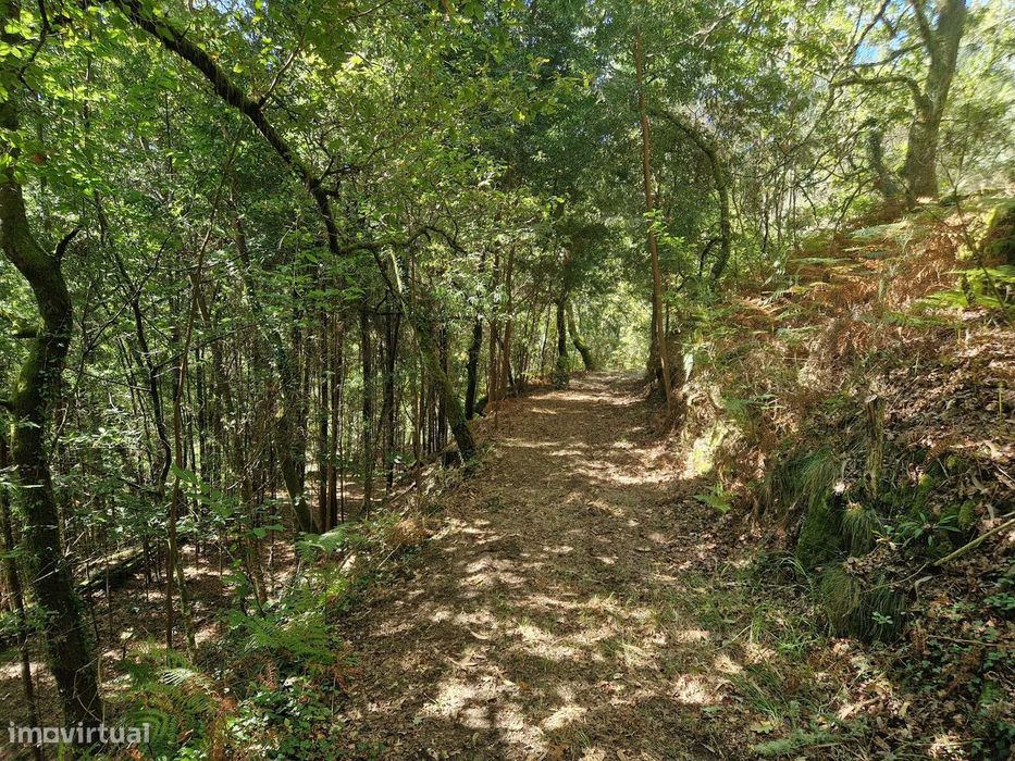 Terreno  Venda em Mosteiro,Vieira do Minho