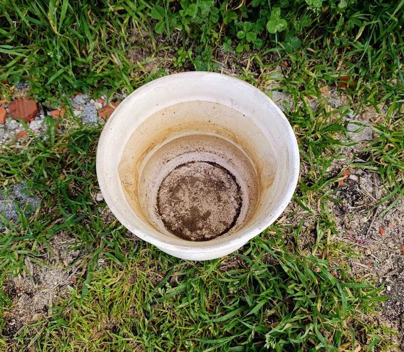 Vaso floreira pedra leão em faiança