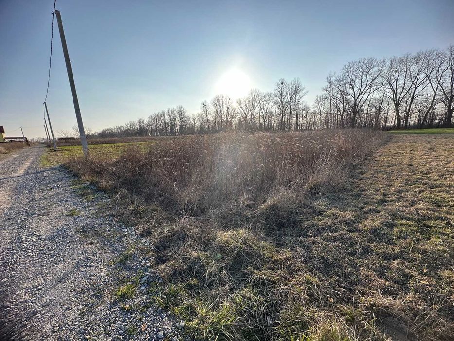 Продається земельна ділянка в Бохониках