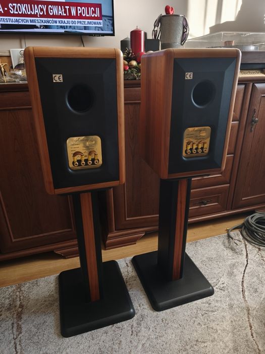 Chario Milenium 2 kolumny Scan speak