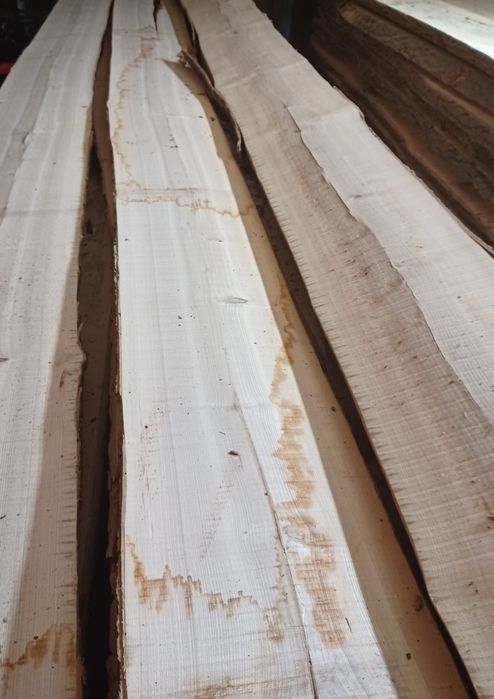 Tarcica dębowa i jesionowa