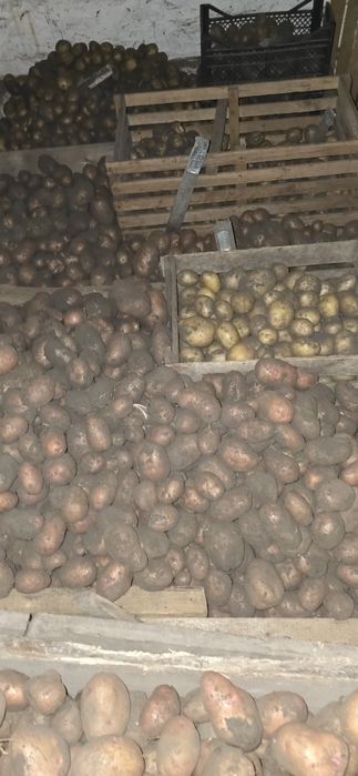 картофель доставка по городу