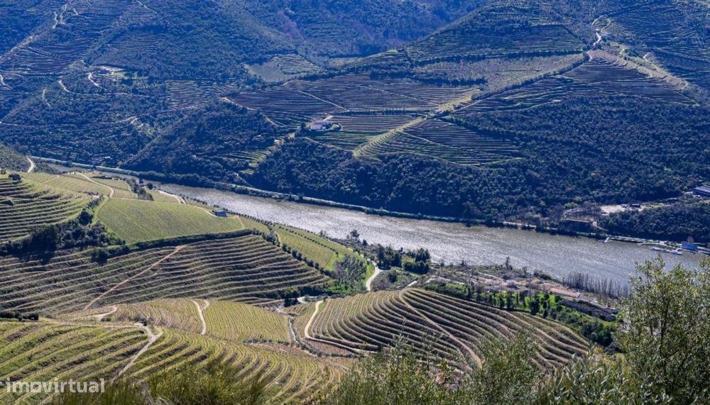 Quinta vínicola à venda no Peso da Régua no Douro Valley