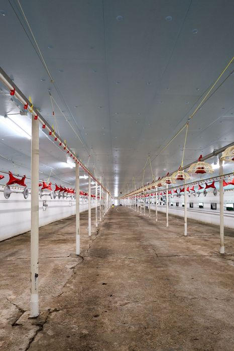 Ocieplenie Dachu Kurnika Obory Chlewni Podbitka Styrodur XPS AGRO