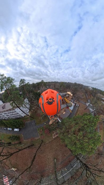 Видаленя дерев. З подрібненням, вивозом. Обрізка дерев