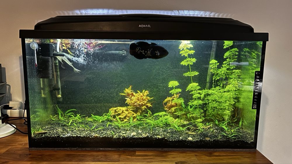 Zestaw akwarium aquael