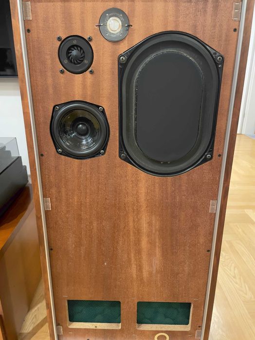 Kolumny Monitory IMF TLS 80 - linia transmisyjna