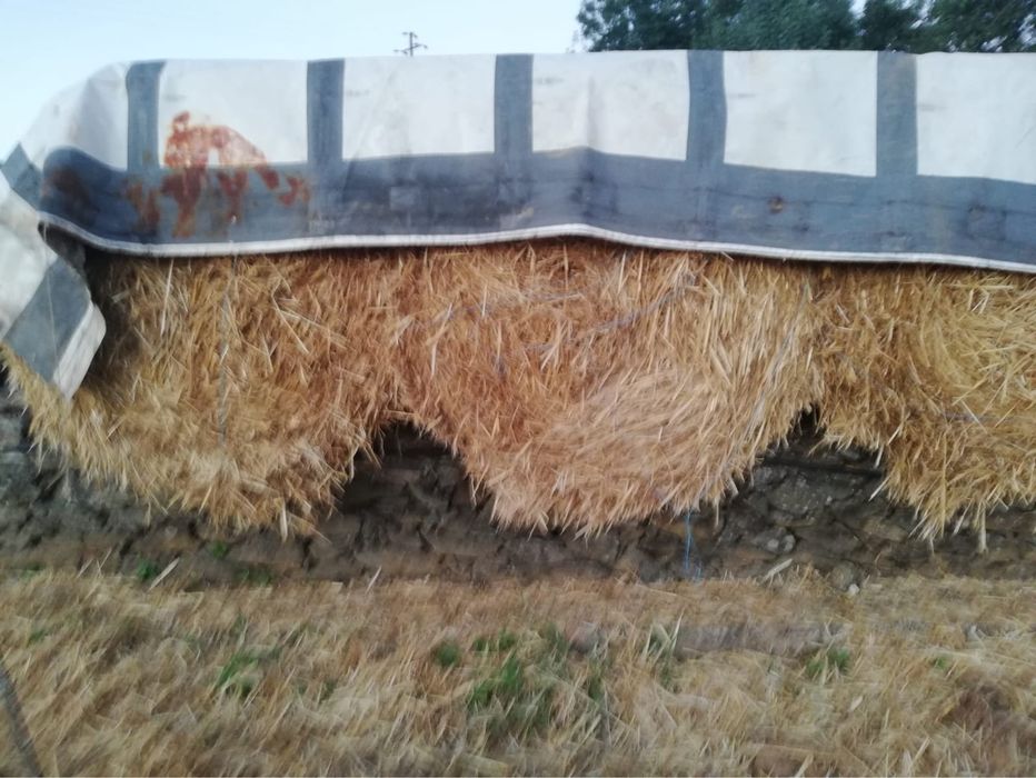 Fardos de palha – redondos
