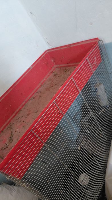 Продам клітку для папуг гризунів