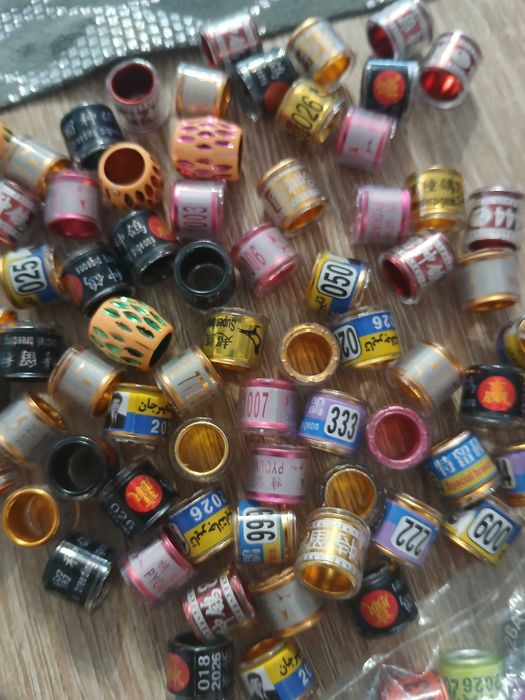 Obrączki dla gołębi pocztowych 2026