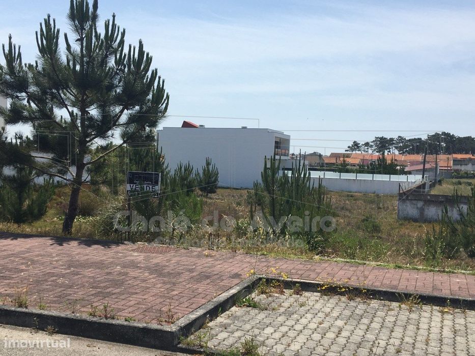 Terreno  Venda em São Jacinto,Aveiro