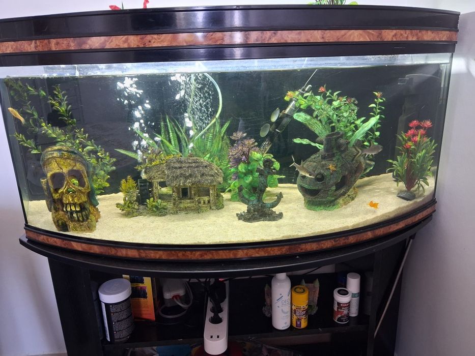 Vendo aquário e caixa transporte animal.