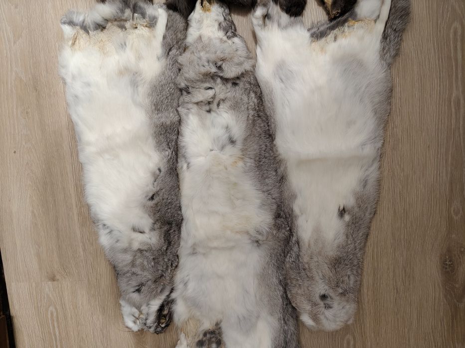 Кролячі шкури 6 штук