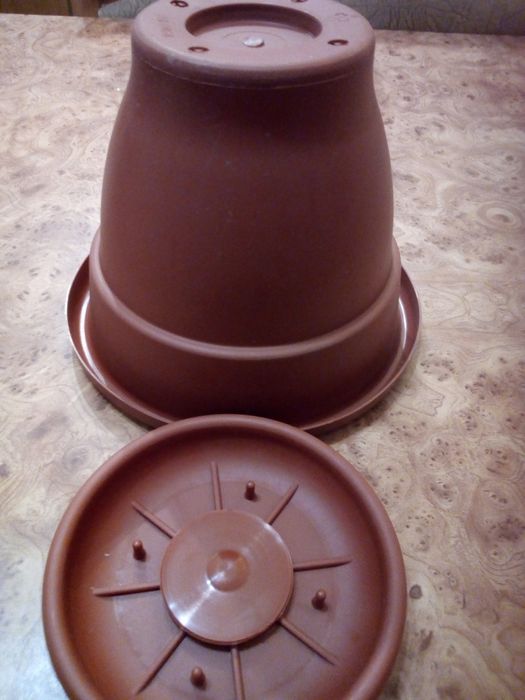 поддоны хрусталь