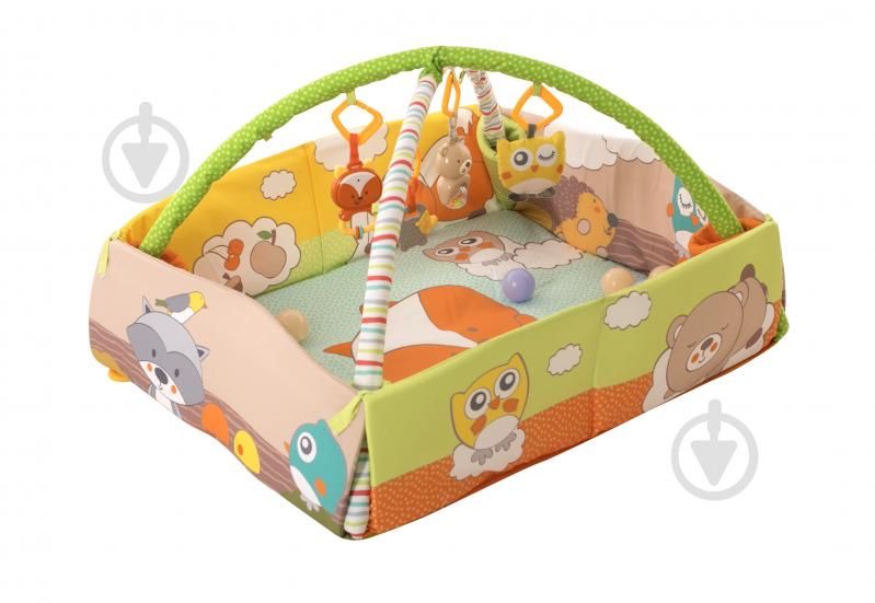 Розвиваючий килимок Baby Team з дугами