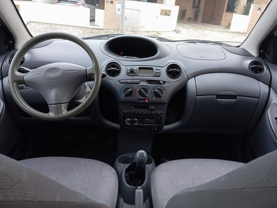 A Ginginha procura novo dono, para novas aventuras