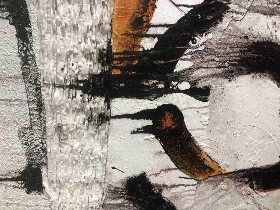 Tecnica mista sobre tela