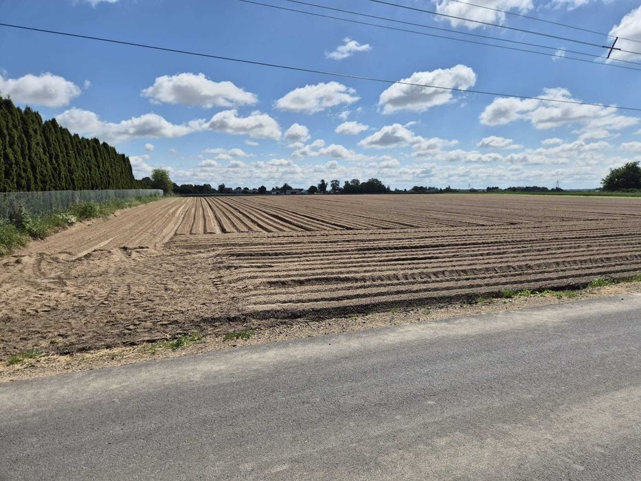 Działka siedliskowo-rolna Poniatowa Kolonia - Więcej