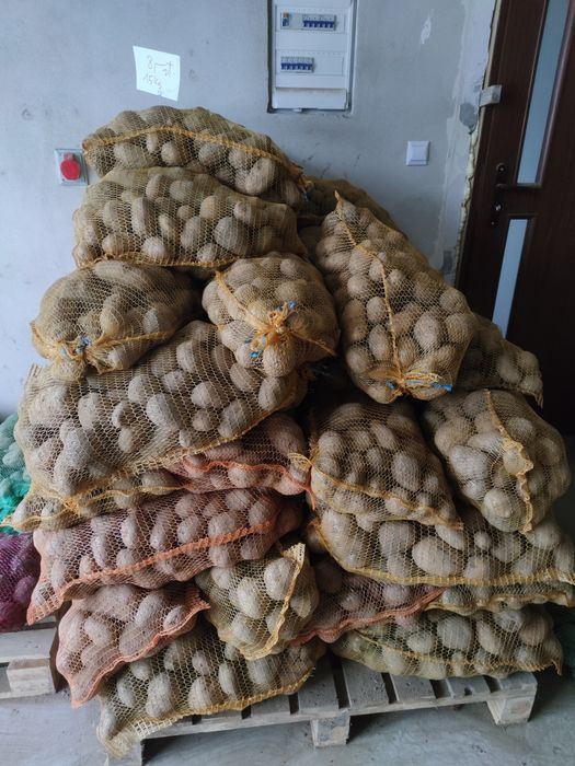 Sprzedam Młode Ziemniaki jadalne 20 zł za worek