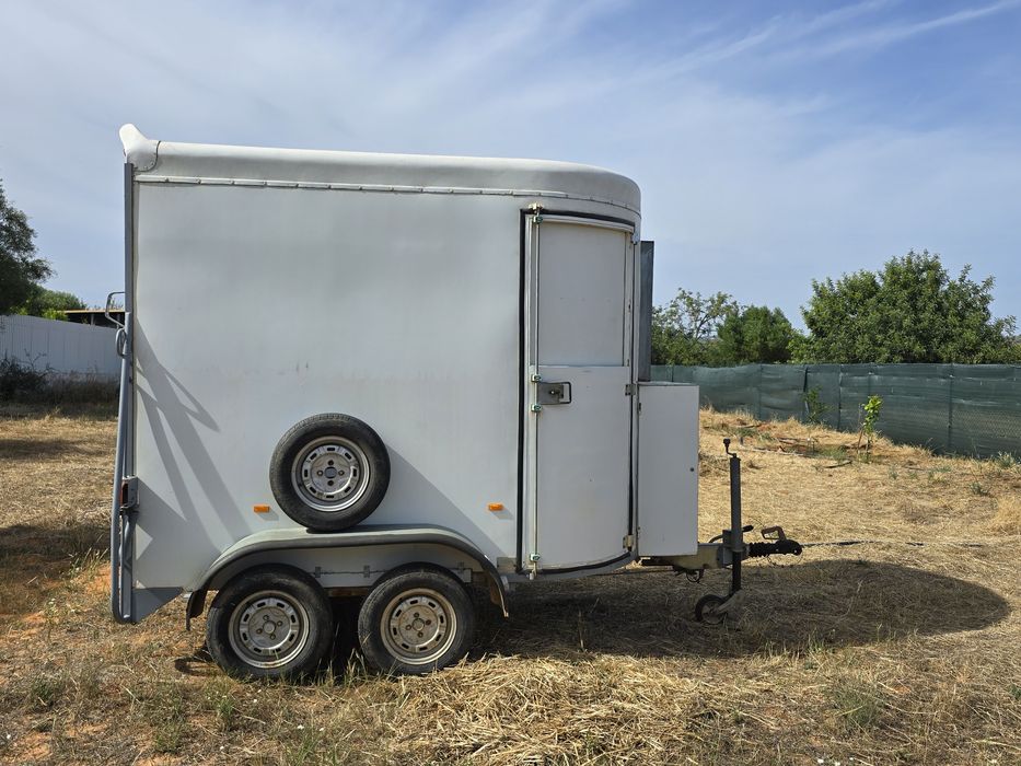 Atrelado de cavalos