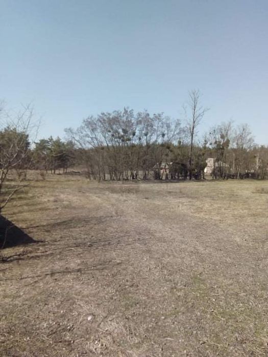 Продам земельну ділянку