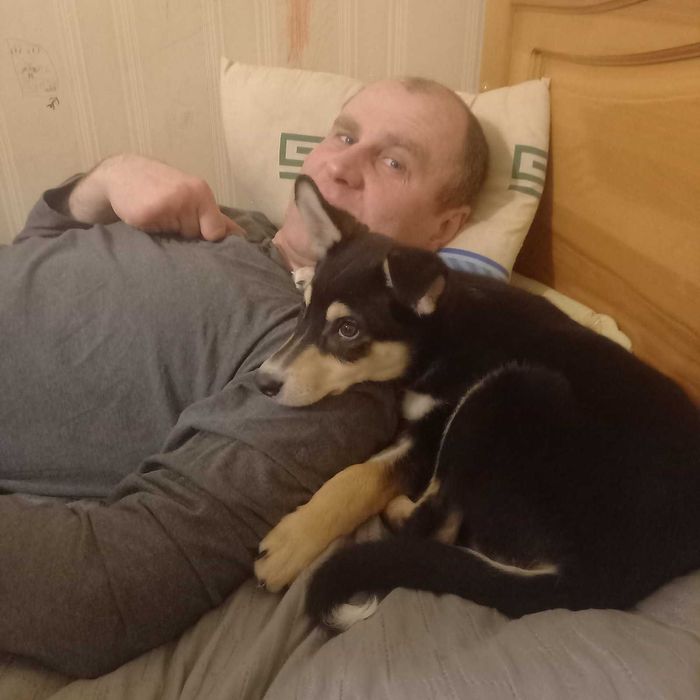 Индивидуальная перевозка ЖИВОТНЫХ по Украине