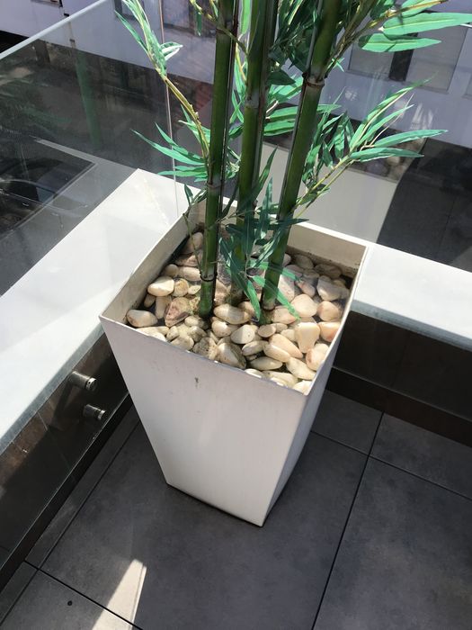 Vaso para colocar planta