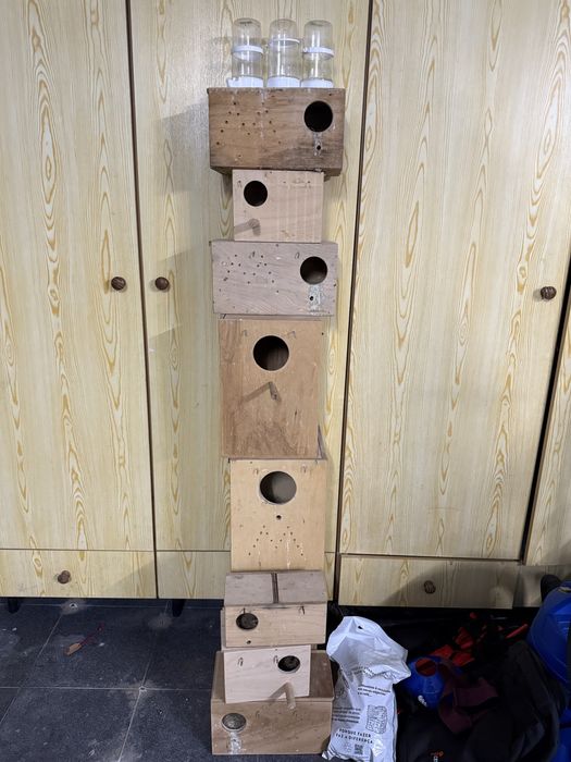 Ninhos madeira maritima - varios tamanhos