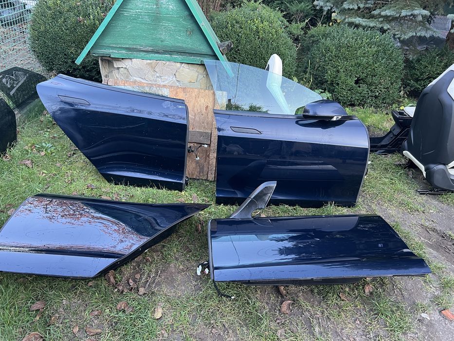 Двері  Tesla model s