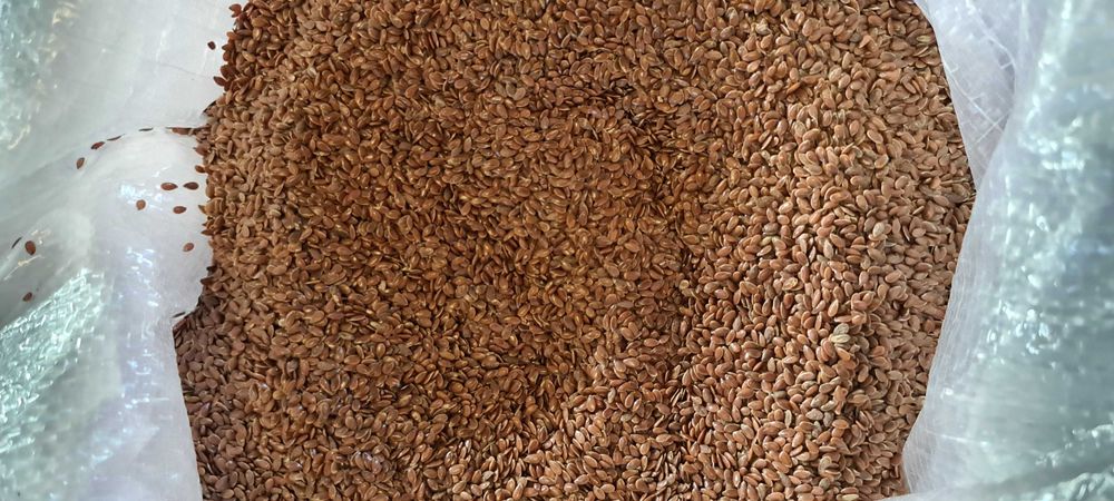 Siemię Lniane Brązowe Len czyszczony (czystość 99,8%)