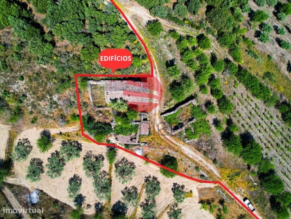 Quinta