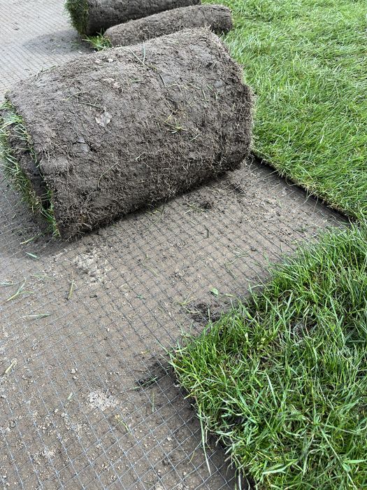 Trawa w rolce trawa z rolki 40m2 z dostawą pod sam dom