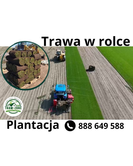 40m² Trawa z rolki – Gęsta, Zielona, Bez Chwastów | TRANSPORT