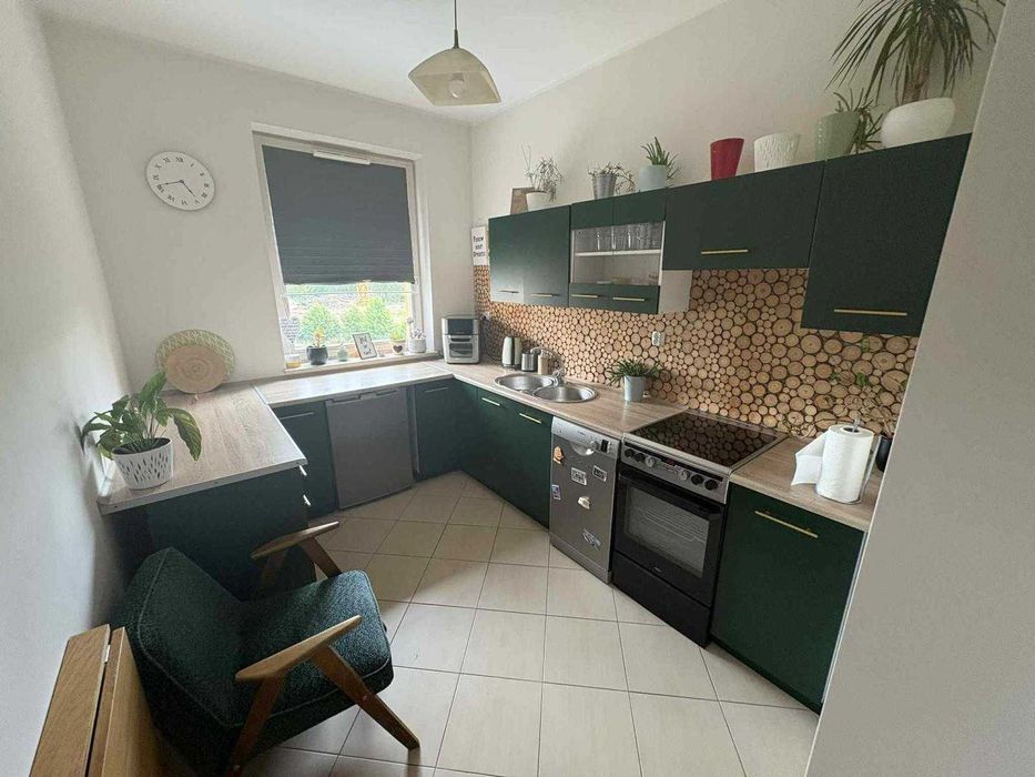 Mieszkanie do wynajęcia 50m²
