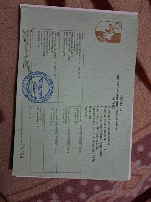 Продам русску гончу