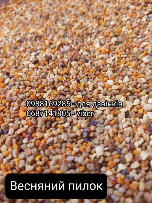 Бджолиний  пилок