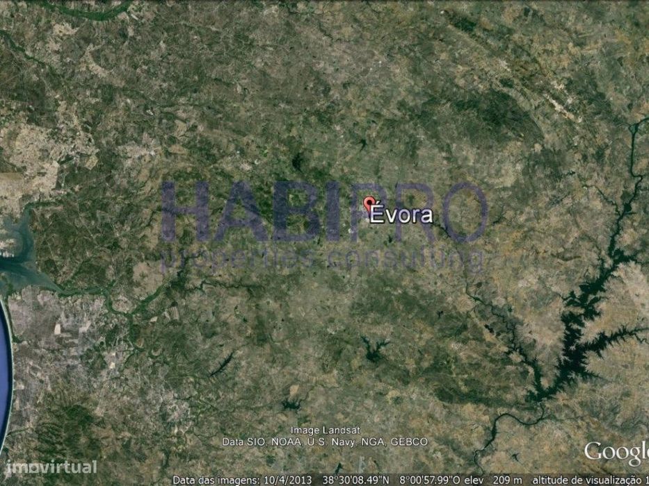Excelente herdade com rendimento florestal e ganadeira